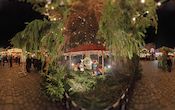 Der Weihnachtsbaum auf dem Striezelmarkt in Dresden